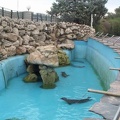 marineland 2003 0045