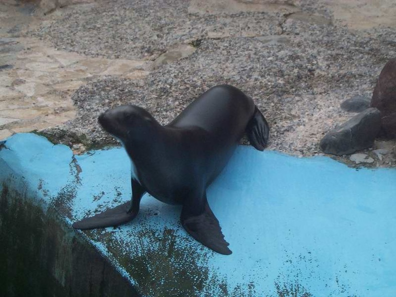 marineland 2003 0046