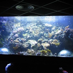 Marineland - aquariums