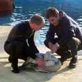 marineland_2004_0463.JPG