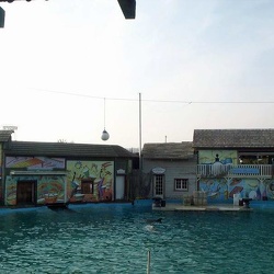 Marineland - dauphins ancien bassin decor carnaval