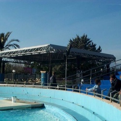 Marineland - dauphins ancien bassin scene carnaval