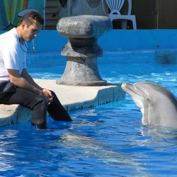 Marineland - dauphins tex