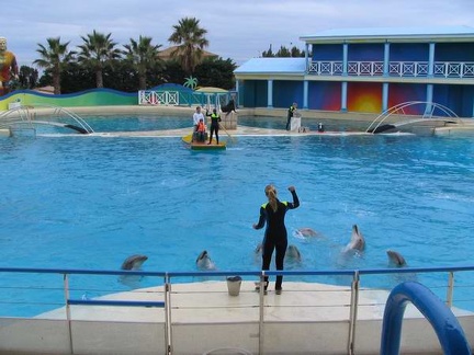 marineland 2004 0844