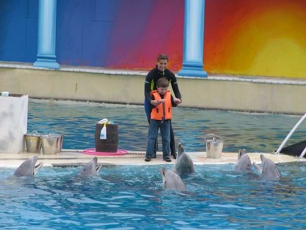 marineland 2004 0845