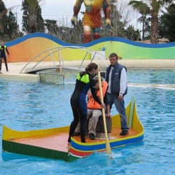 Marineland - show dauphins