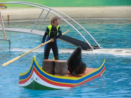 marineland 2004 0817