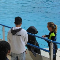 Marineland - show marianne