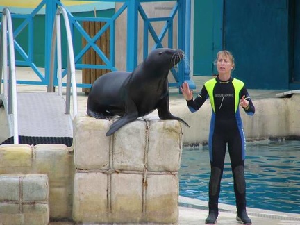 marineland 2004 0820