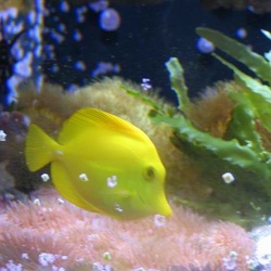 Marineland - aquariums