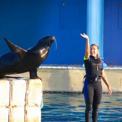 Marineland - bassin dauphins