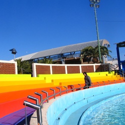 Marineland - Renovation bassin otaries