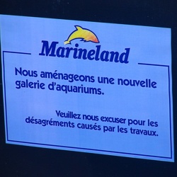 Marineland - renovation aquariums