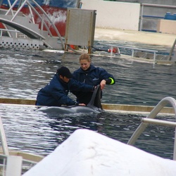 Marineland - Orques - Soigneurs