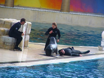 marineland 2005 1695