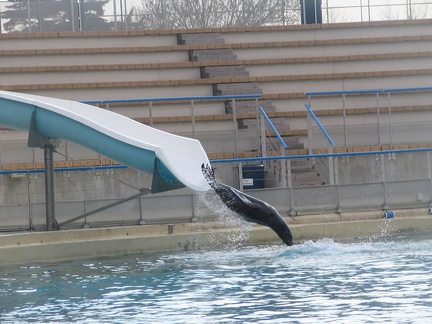 marineland 2005 1696