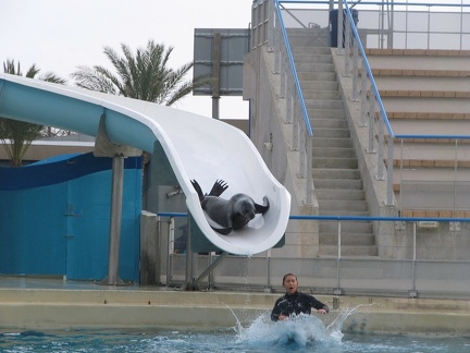 marineland 2005 1697