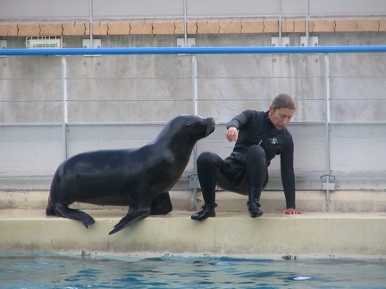 marineland 2005 1698