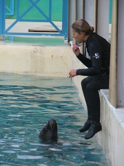 marineland 2005 1699