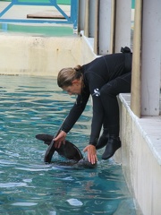 marineland 2005 1700