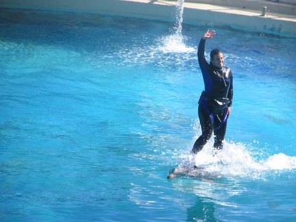 marineland 2005 1212