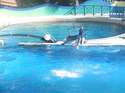 marineland 2005 1213