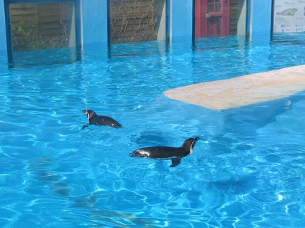 marineland 2005 1220