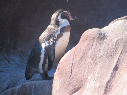 marineland 2005 1221