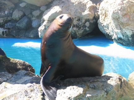 marineland 2005 1216