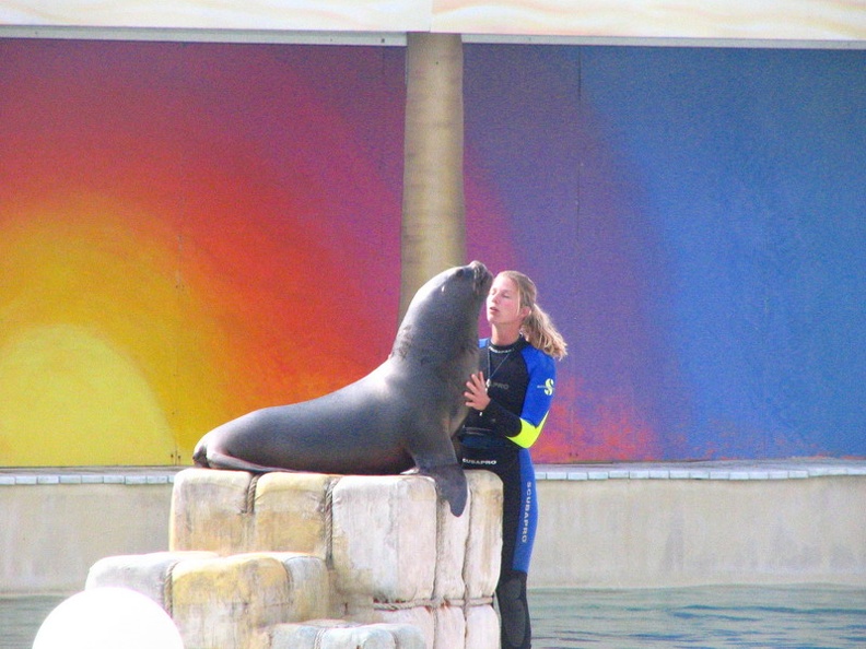 marineland_2005_2350.JPG