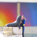 marineland_2005_2350.JPG