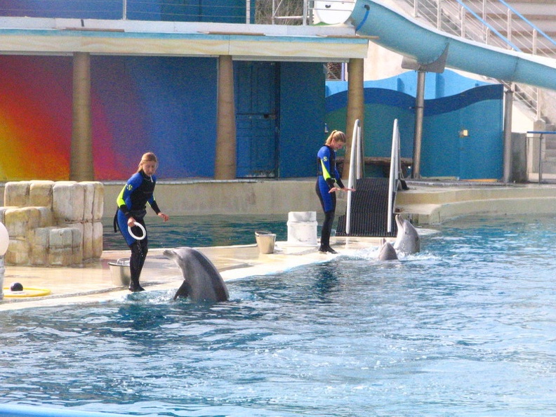 marineland_2005_2351.JPG