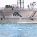 marineland_2005_2352.JPG