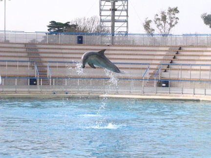 marineland 2005 2352