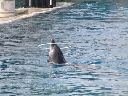 marineland 2005 2353