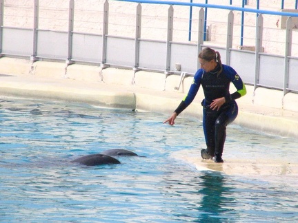 marineland 2005 2356