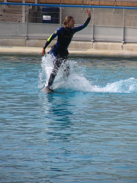 marineland 2005 2357