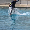 marineland_2005_2357.JPG