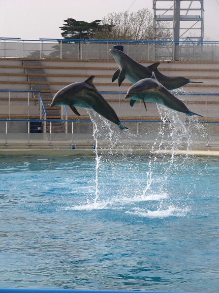 marineland 2005 2358