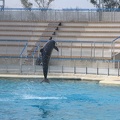 marineland 2005 2359