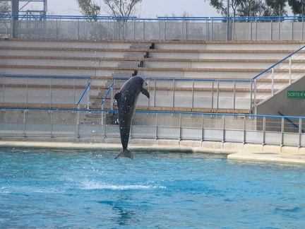 marineland 2005 2359