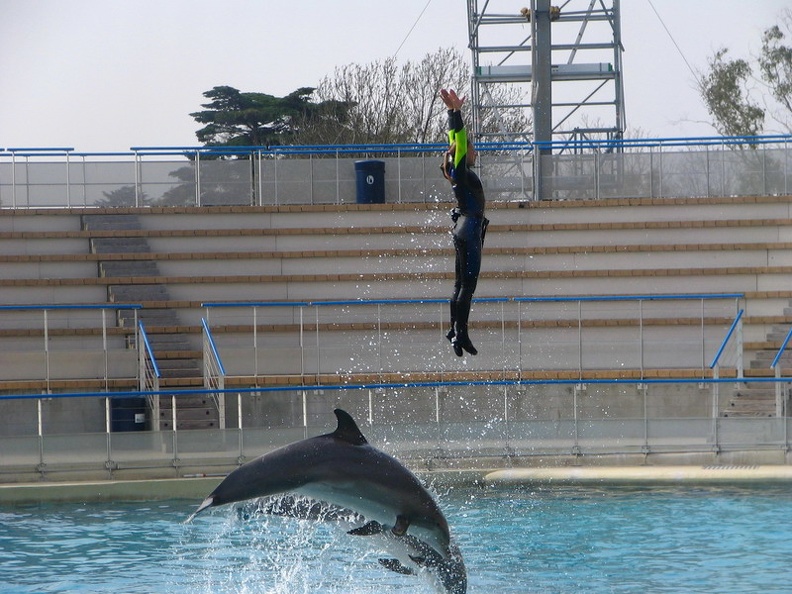 marineland_2005_2360.JPG