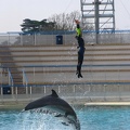 marineland_2005_2360.JPG