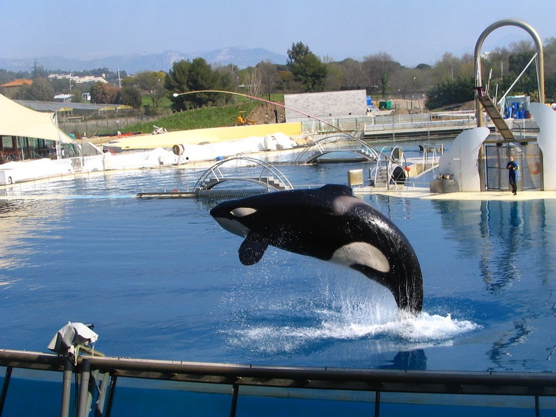 marineland_2005_2334.JPG