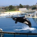 marineland_2005_2334.JPG