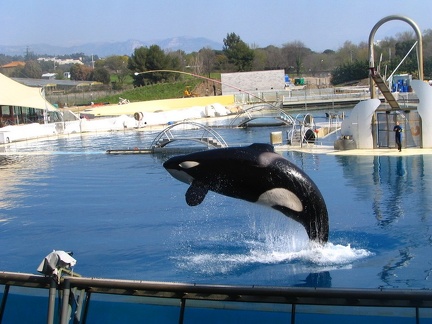 marineland 2005 2334