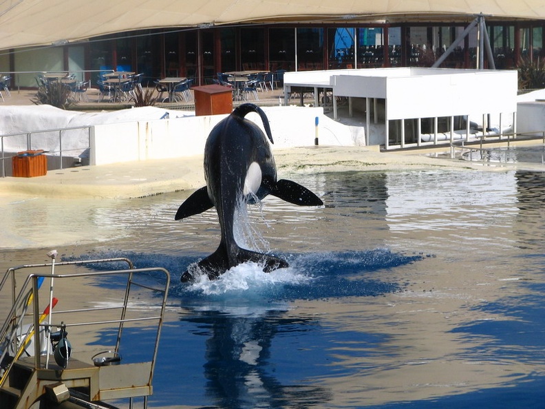 marineland 2005 2335