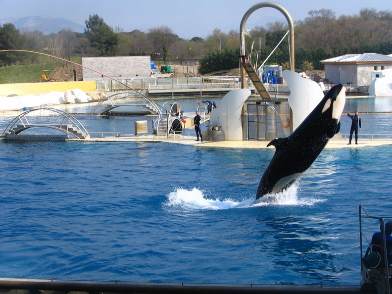 marineland_2005_2336.JPG