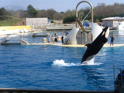 marineland 2005 2336