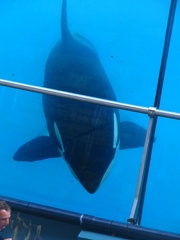 marineland 2005 2338